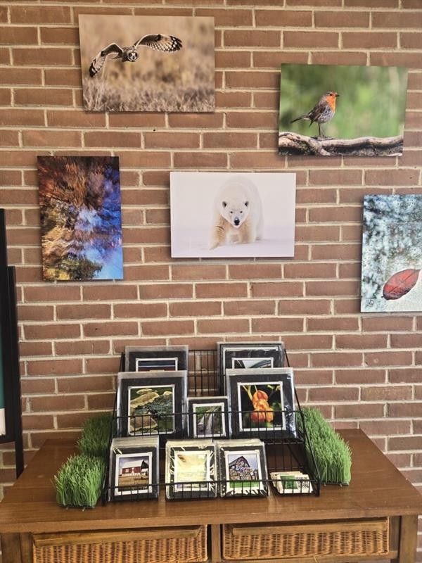 Collections by Carol