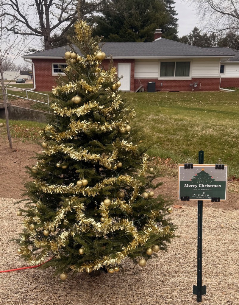 Pulaski Community Christmas Tree