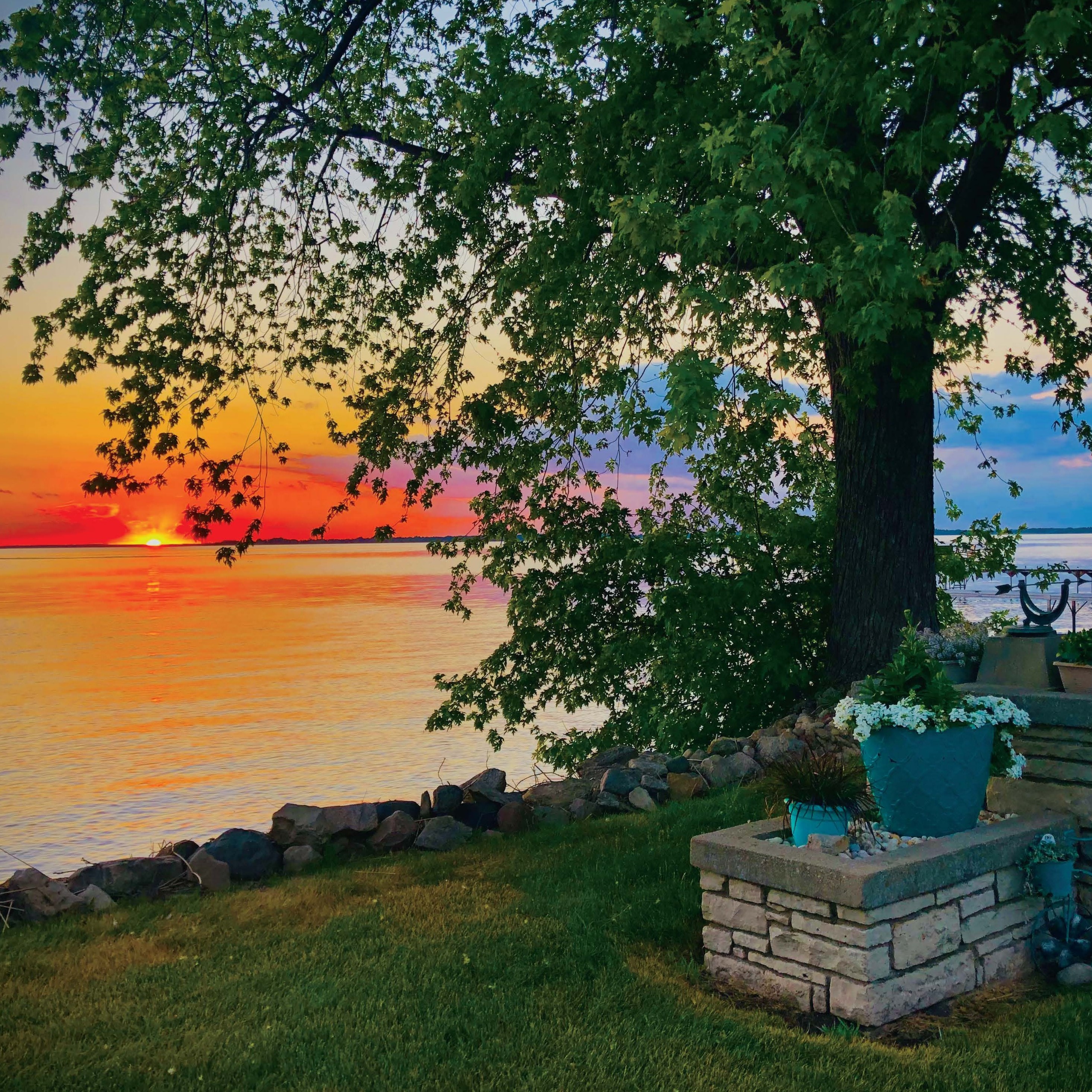 Summer Scene
