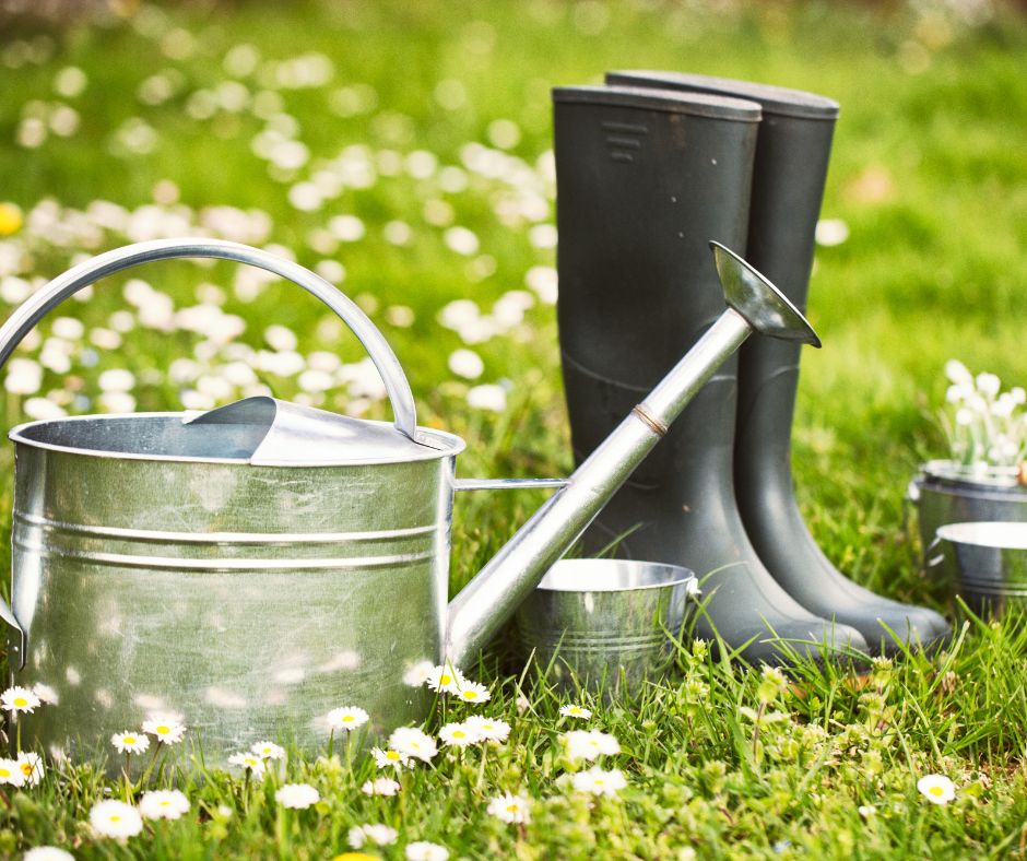 Tips for Early Spring Gardening - Premier Community Bank